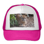 Puma 018 baseball hat