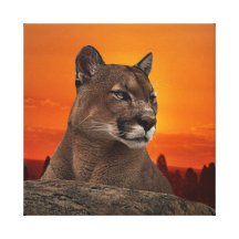 Puma på solnedgången canvasduk med gallerikvalitet 