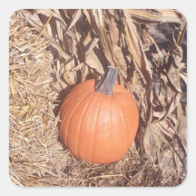 "Pumpa" klistermärke