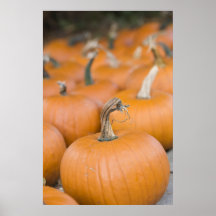 pumpaparad affisch