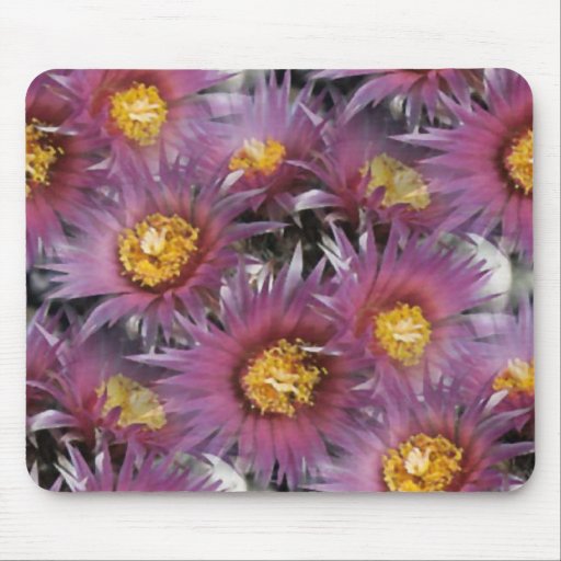 PURPLE_FLOWER_DESIGNM MUSMATTOR