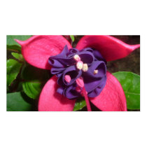 purpurfärgad fushia visitkort mallar