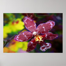 Purpurfärgad hawaiansk Orchid Print