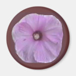 PURPURFÄRGAD HIBISKUS KYLSKÅPSNAGNET
