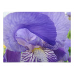 Purpurfärgad Irisblomsterfotografikonst skrivar ut