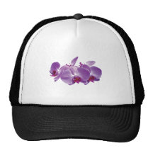 Purpurfärgad OrchidTrio Trucker Keps