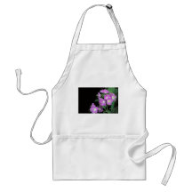 purpurfärgad phacelia förkläden