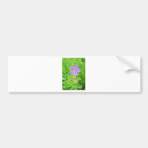 Purpurfärgad vildblomma bildekal