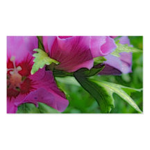 Purpurfärgade hisbiscusblommor visit kort