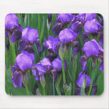 PURPURFÄRGADE IRISES (PHOTOG) MOUSEPAD, MOUSEMAT MUSMATTA