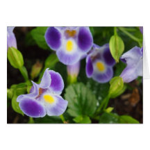 Purpurfärgat blomsterfotografikort