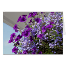 Purpurfärgat kort för Petunias 5x7