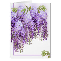 Purpurfärgat Wisteriakort