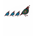 Quail