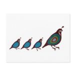 Quail