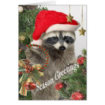 Raccoon Christma en Time för roliga kort