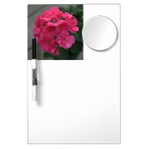 Raderingen för den rosa pelargonen för söten stige dry erase whiteboard
