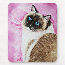 ragdollkatt musmattor