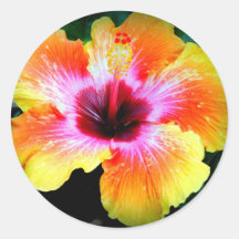 Rainbow Brite Sticker