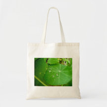 Raindrops på nasturtiumlöv kasse