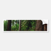 Rainforestvattenfärgen verkställer bildekal