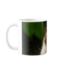 Råna med den härliga katten kaffe kopp