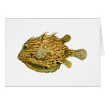 Randig cowfish hälsnings kort