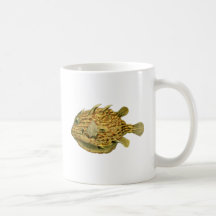Randig cowfish muggar