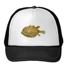 Randig cowfish trucker kepsar