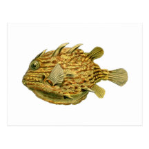 Randig cowfish vykort