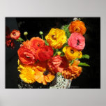 Ranunculas Spring Orange Pink Red Poster Print