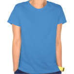 Ravenclaw vapensköld tee shirt