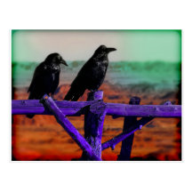 Ravens Vykort