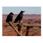Ravens Vykort