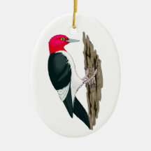 Red Headed Woodpecker on Tree Branch Christmas Ornament
