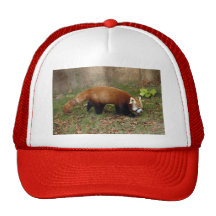 red-panda-006 mesh kepsar