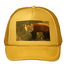 red-panda-011 trucker keps