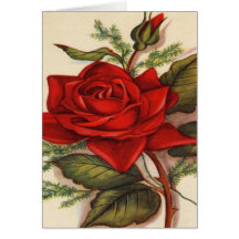Red Roses Cards