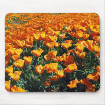 REDFLOWER MUSMATTOR