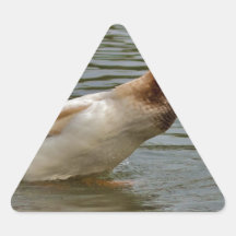 redo för take-av triangle stickers