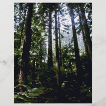 Redwoodträd Whaka skog, Rotoua Flygblad