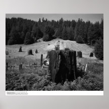 Redwoodträdträdstubbar och återvinner land, 1966 affischer