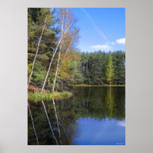 Reflektera Affischer