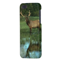 Reflektera för älg - smart iPhone 5 täcker
