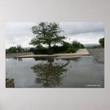 Reflekterad Texas gräshoppa Posters