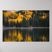 Reflexion Print