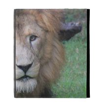 Regal lejont ansikte, iPadfoliofodral