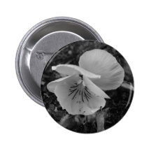 Regnig Orchid Knappar Med Nål
