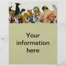 Reklamblad för raddahundCollage Full Färg Flygblad