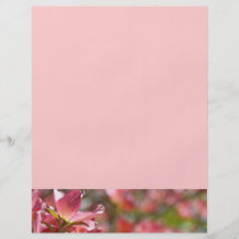 Reklambladanpassningsbar skapar dina egna rosa Dog Flyg Blad